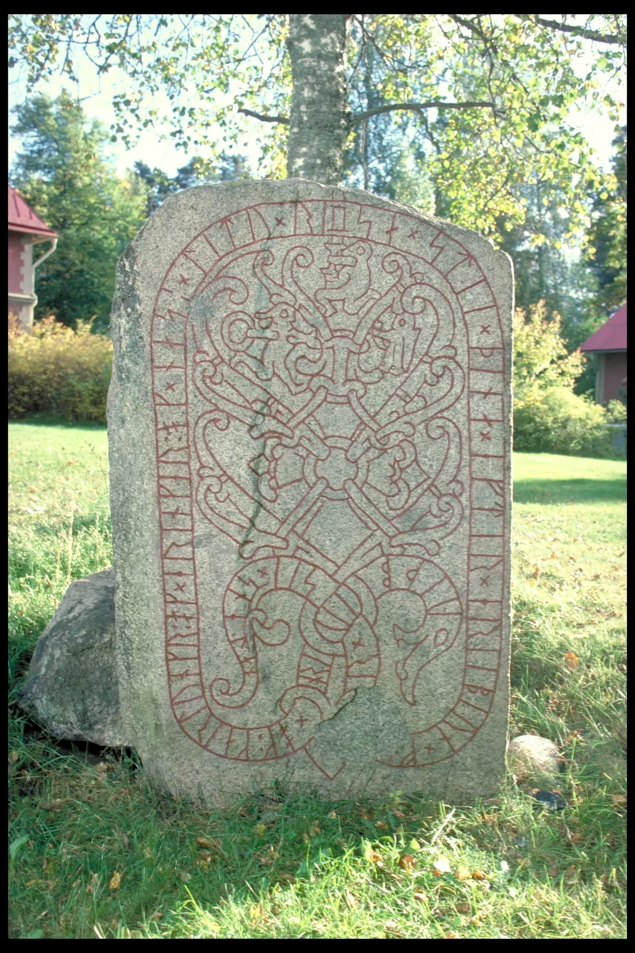 SIGFRIDO - Image 7